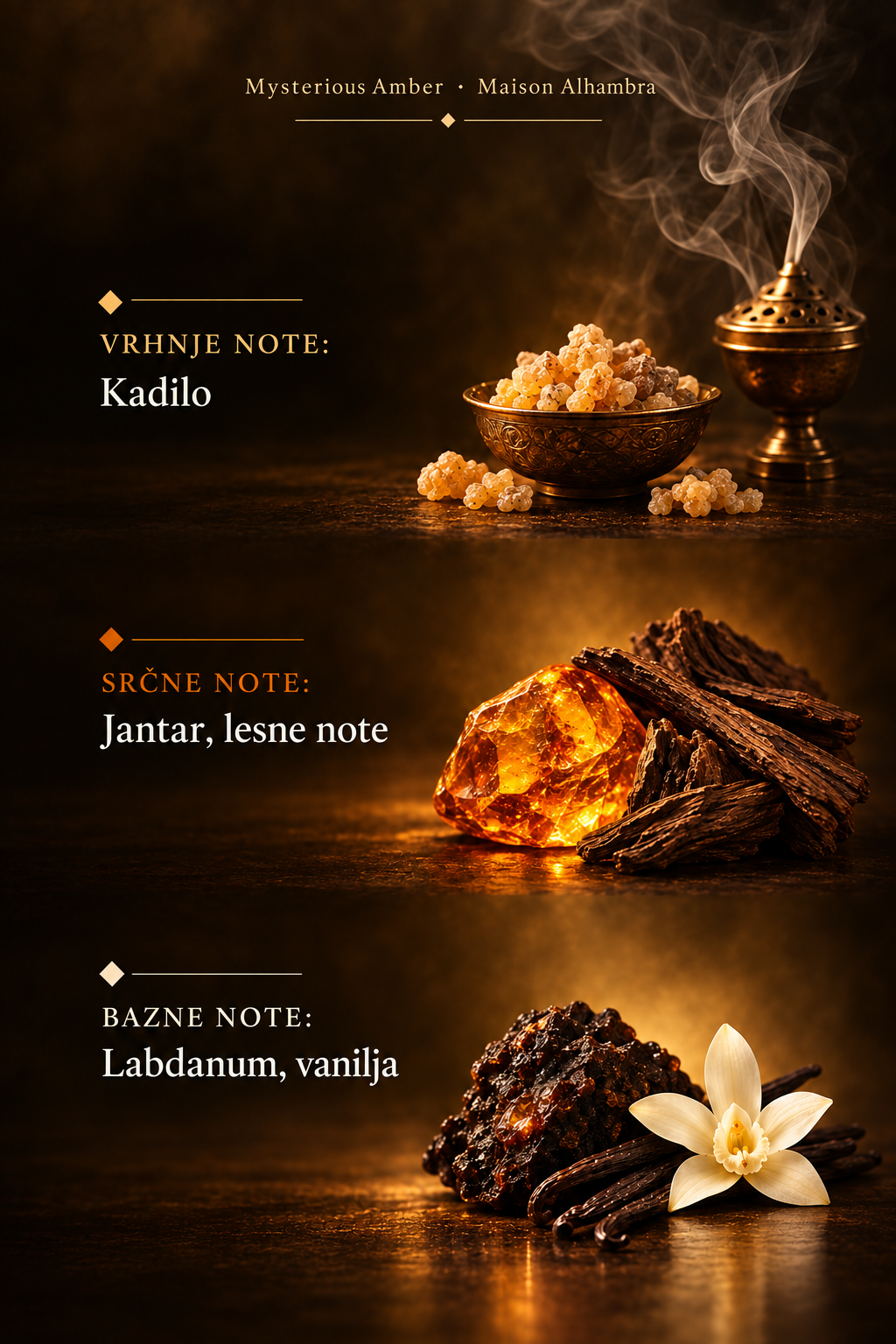 Pomanjšana infografika Mysterious Amber z vsemi notami