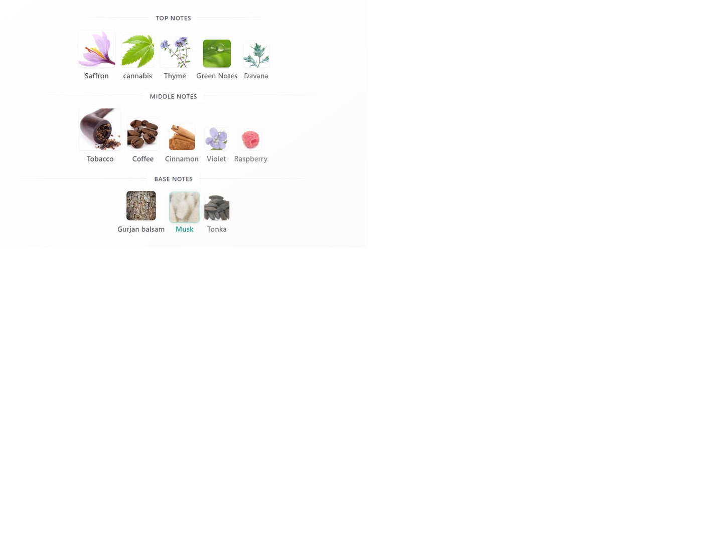 Hawas Viper Rasasi – DEKANT ♂